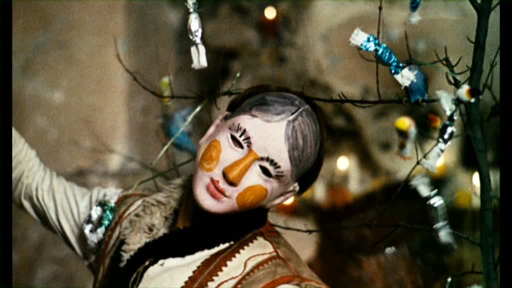 Birds Orphans and Fools