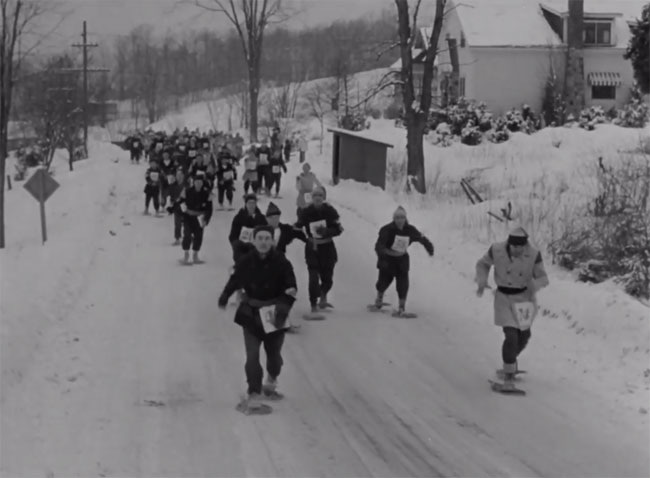 Snowshoers